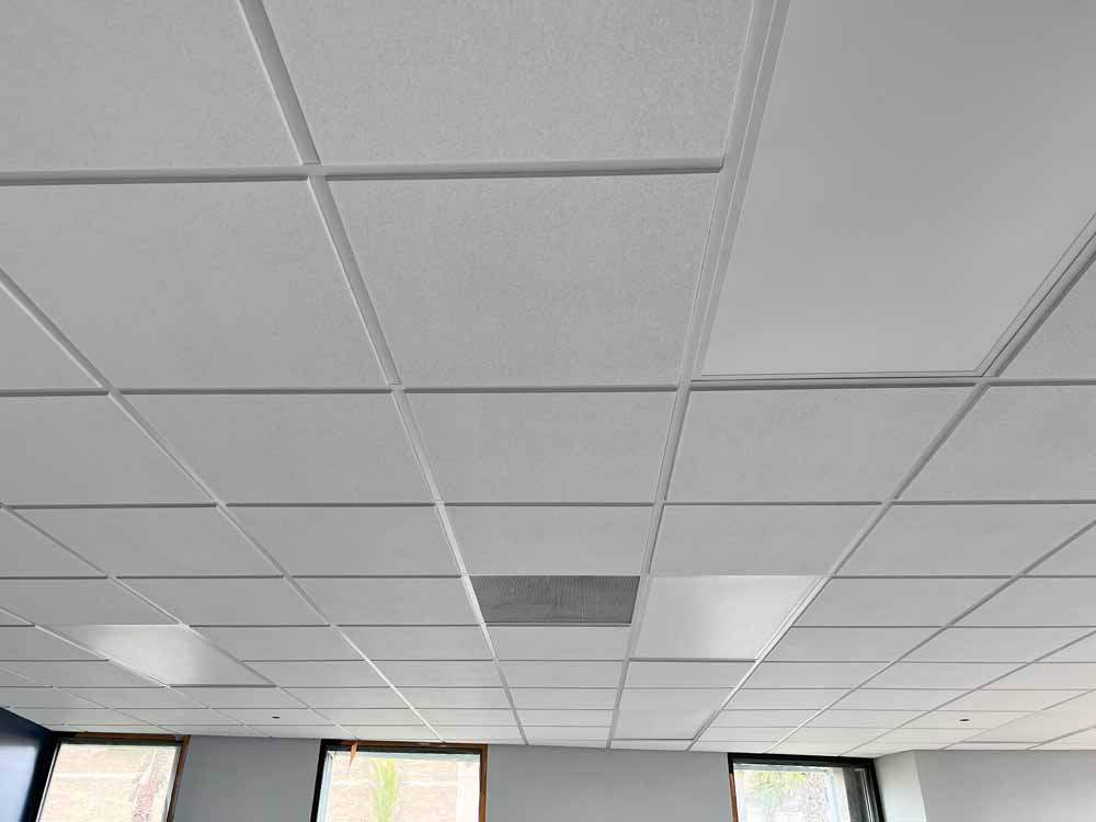 Acoustic Drop Ceiling Image 3