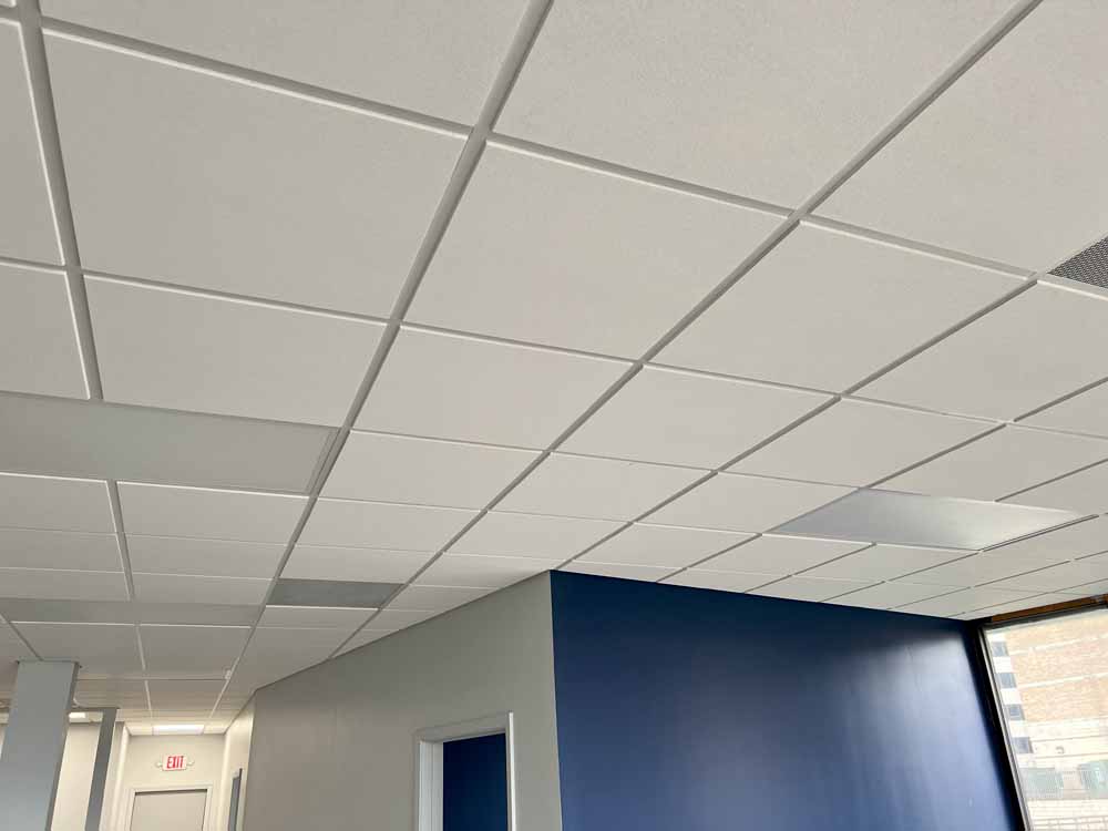 Acoustic Drop Ceiling Image 4