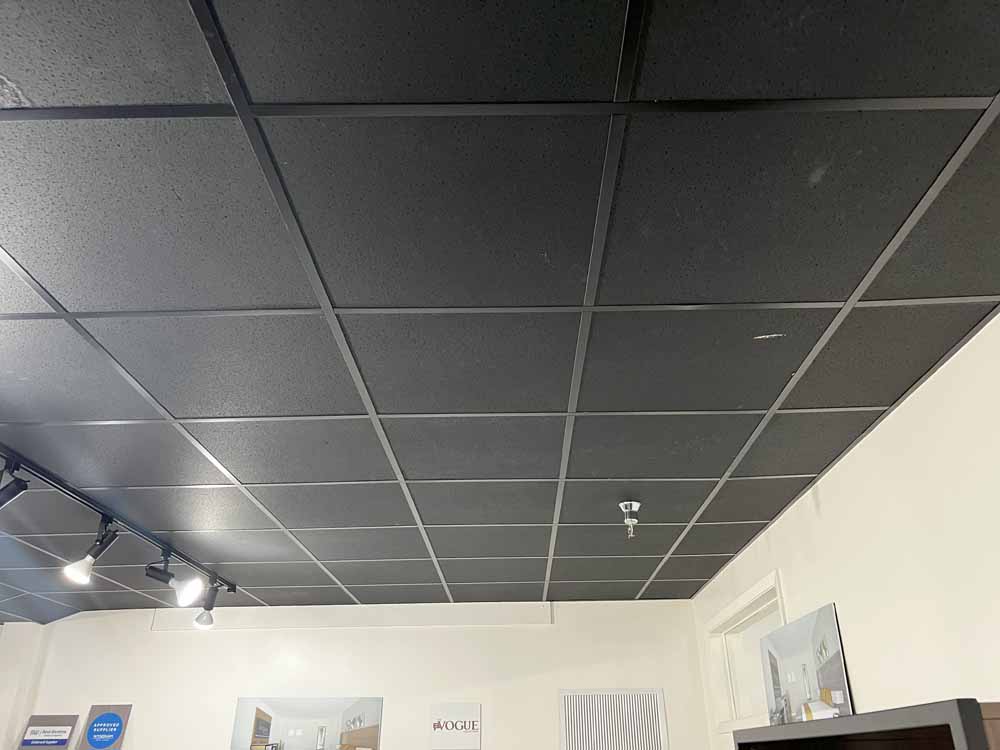 Acoustic Drop Ceiling Image 5