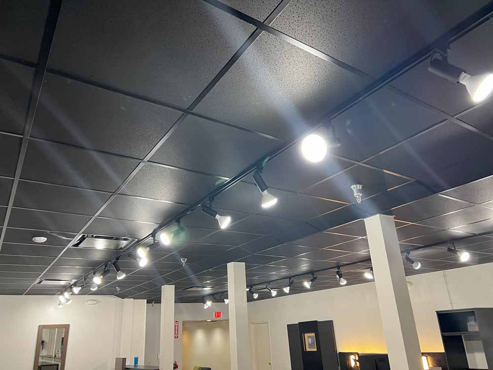 Acoustic Drop Ceiling Image 6