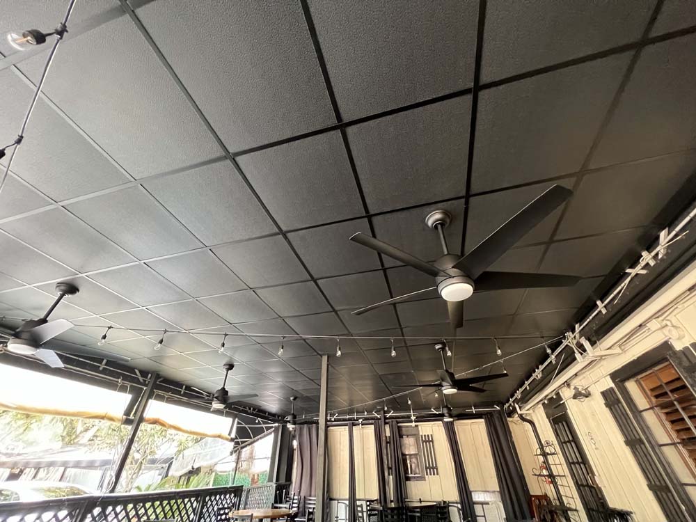 Acoustic Drop Ceiling Image 13