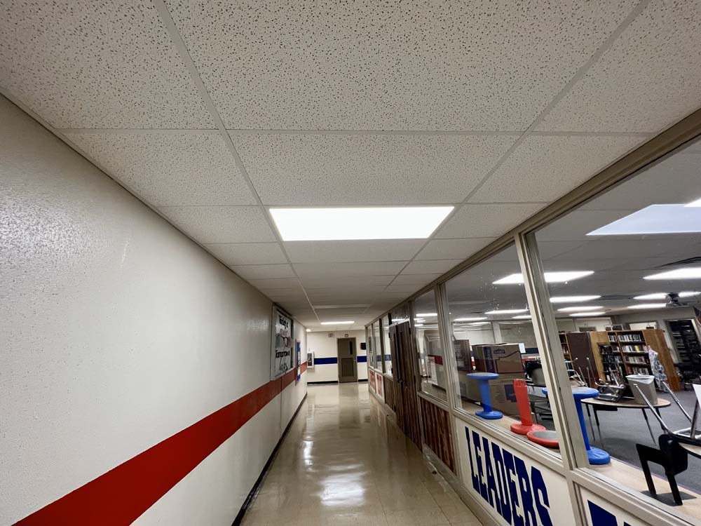 Acoustic Drop Ceiling Image 15